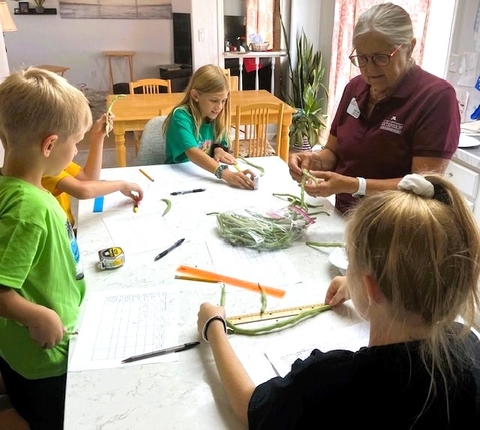 A woman at the table with three children who are measuring green beans